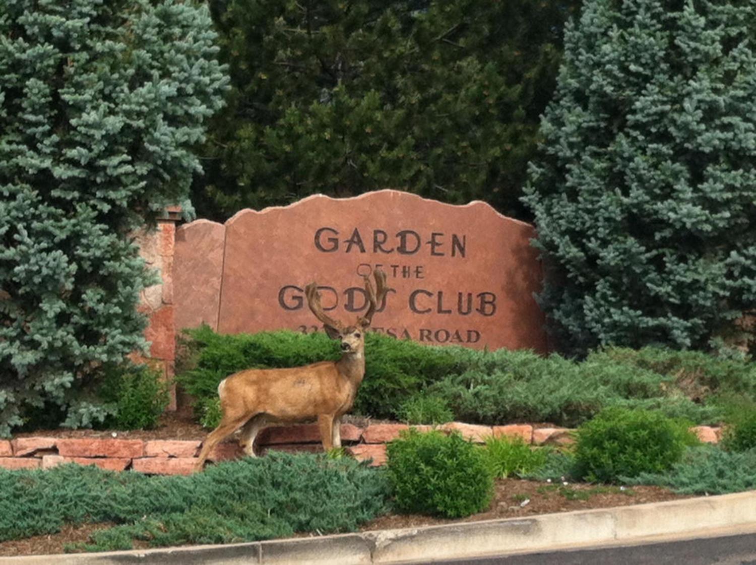 Garden Of The Gods Resort & Club Colorado Springs Luaran gambar